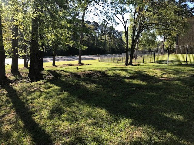 grassy area at Ward Plaza Apartments