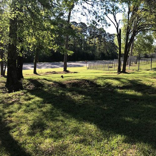 green grass outside Ward Plaza Apartments